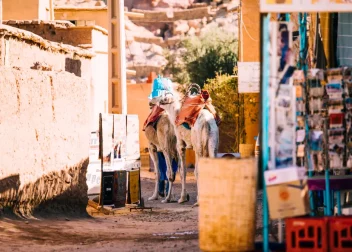 Things to Know Before Traveling to Morocco