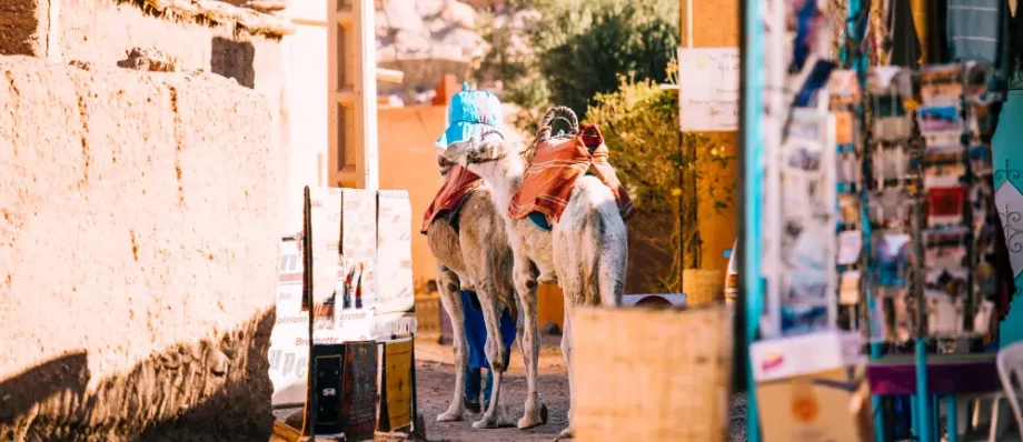 Things to Know Before Traveling to Morocco